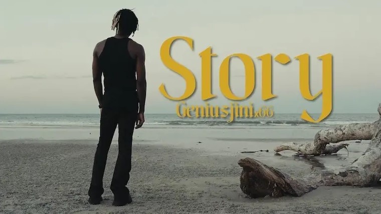 Geniusjini x66–Story