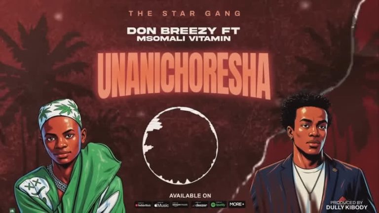 Don Breezy ft Msomali Vitamin–Unanichoresha
