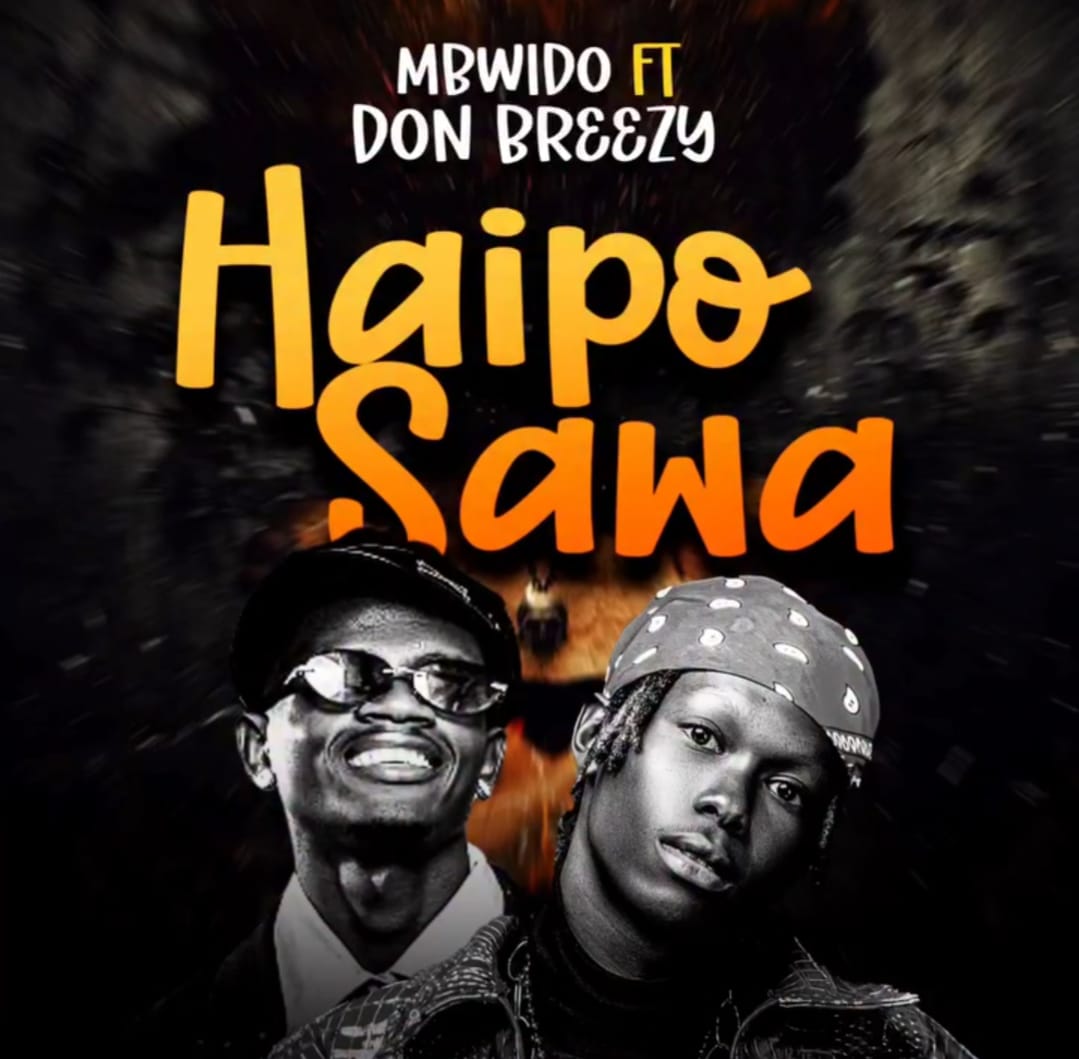 Mbwido ft Don Breezy-Haipo Sawa