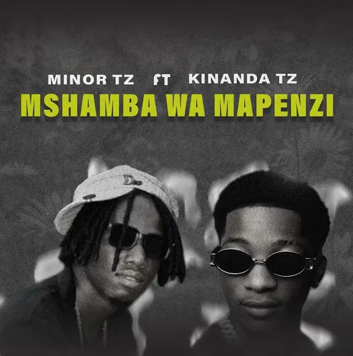 Minor Tz ft kinandaTz-Mshamba Wa Mapenzi