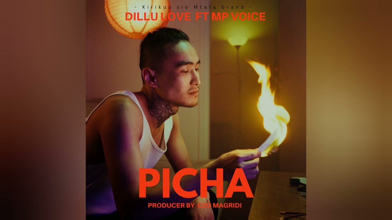 Dillu Love ft Mp Voice-Picha