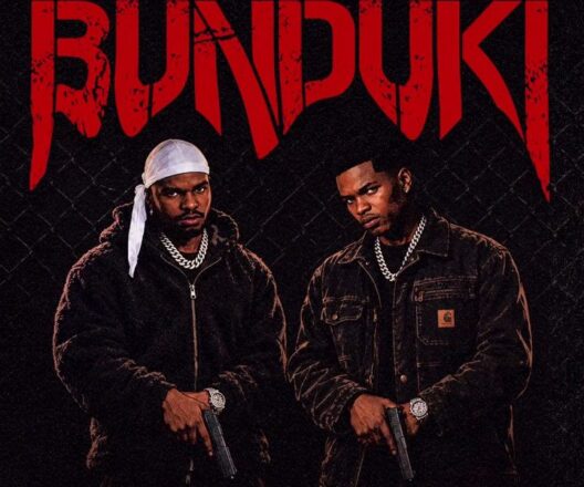 AUDIO | Vanillah Ft Malume – Bunduki | Download